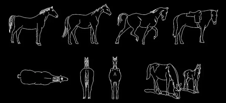 Télécharger des blocs DWG gratuits : chevaux en plusieurs vues