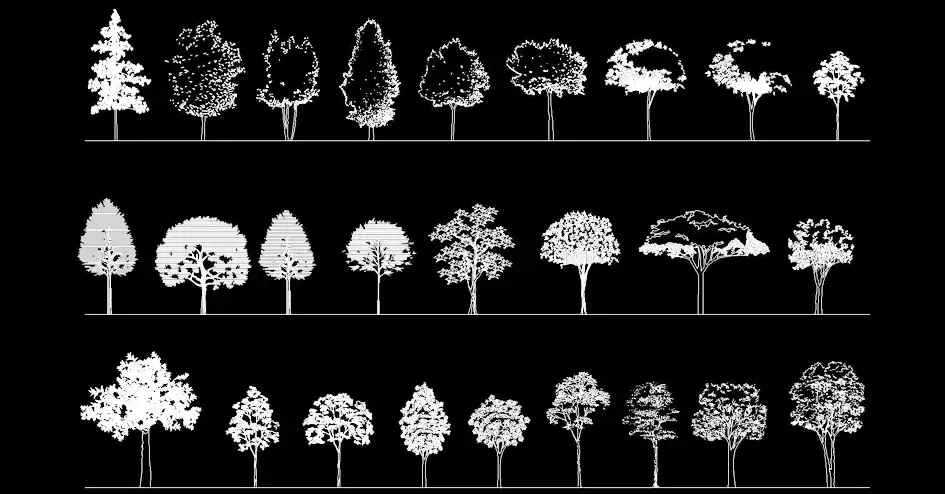 Télécharger des blocs gratuits d’arbres en élévation DWG