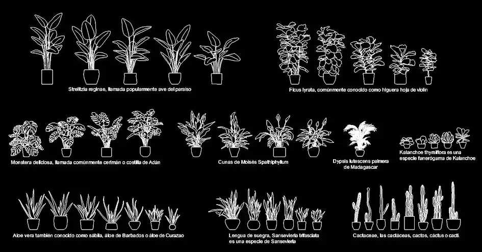 Télécharger des blocs gratuits de plantes d’intérieur en pot en élévation DWG