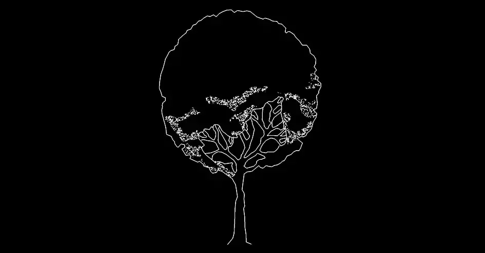 Télécharger un bloc gratuit d’arbre ornemental en élévation DWG